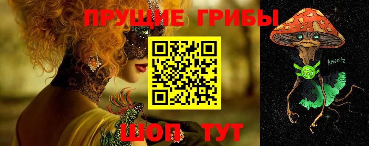 Псилоцибиновые грибы GOLDEN TEACHER Гусь-Хрустальный